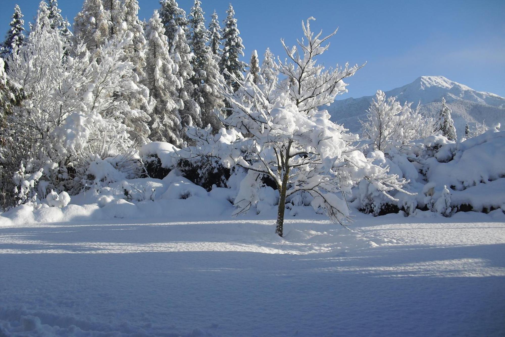 Marchmont Gardens Bed & Breakfast Hanmer Springs Dış mekan fotoğraf